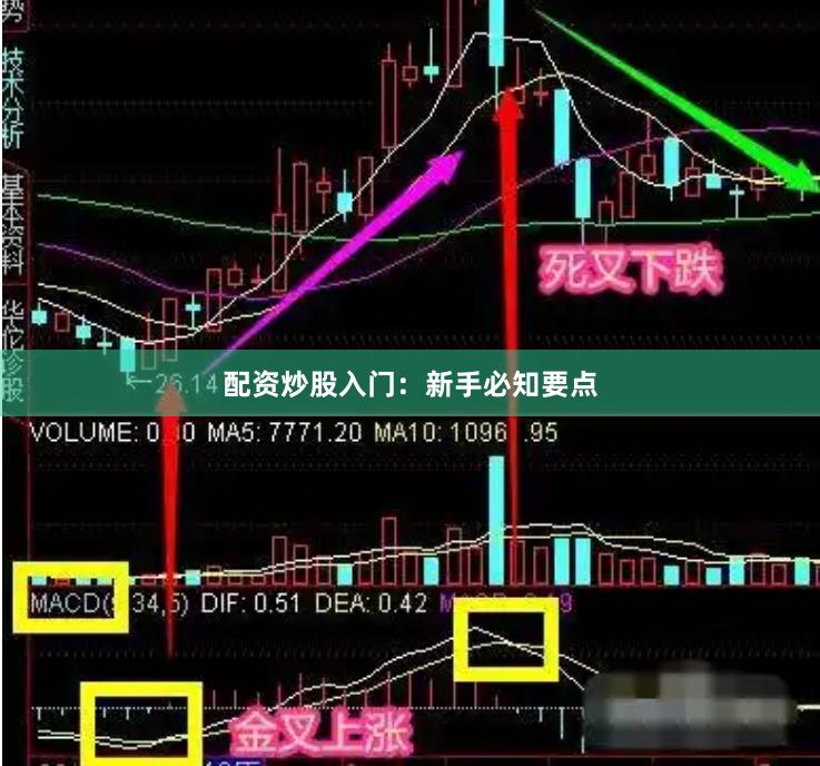配资炒股入门：新手必知要点